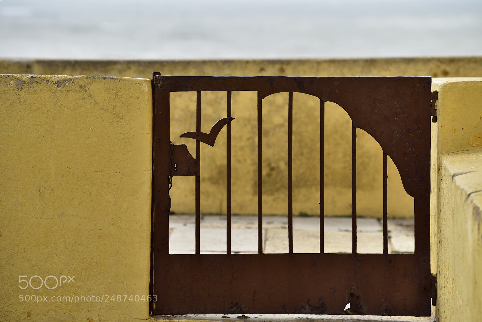 Nikon D810 sample photo. Forte st catarina detalhes photography
