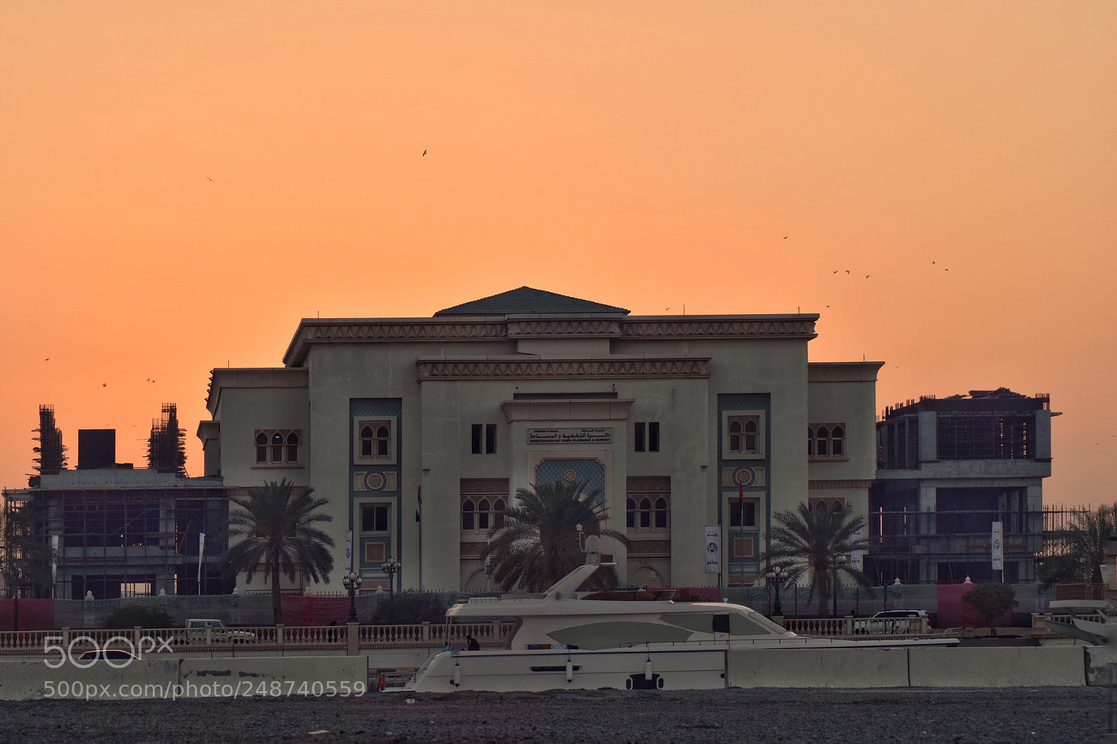 Nikon D5500 sample photo. Untitled photography