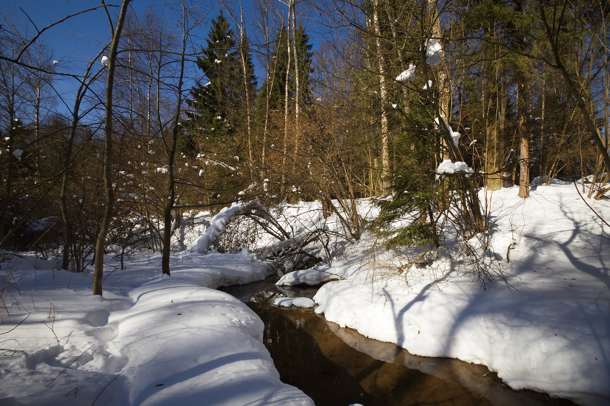 Sigma 10-20mm F3.5 EX DC HSM sample photo. У нас весна! photography