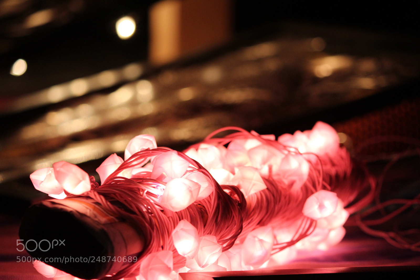Canon EF-S 55-250mm F4-5.6 IS II sample photo. Untitled photography