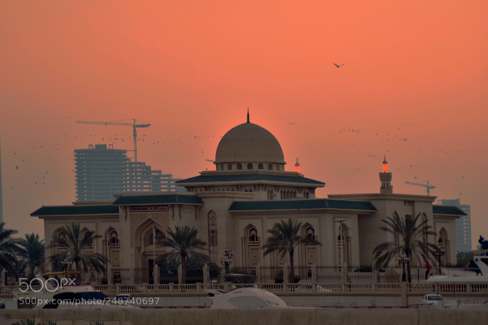 Nikon D5500 sample photo. Untitled photography