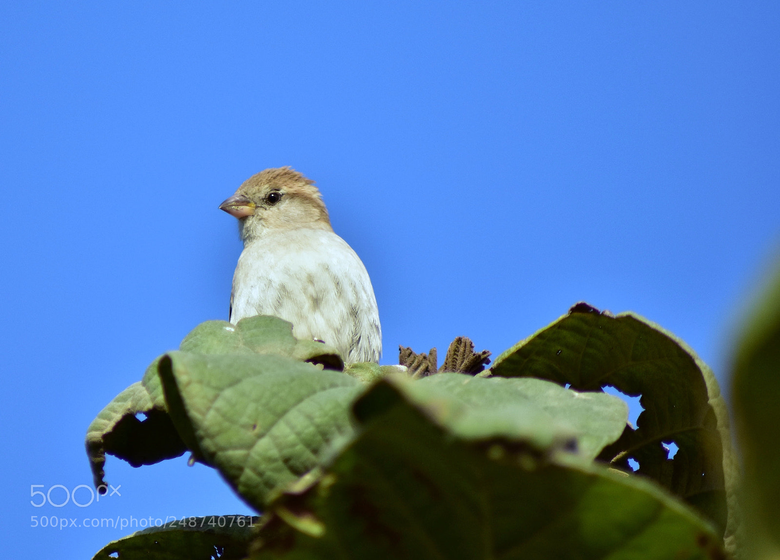 Nikon D5500 sample photo. Untitled photography