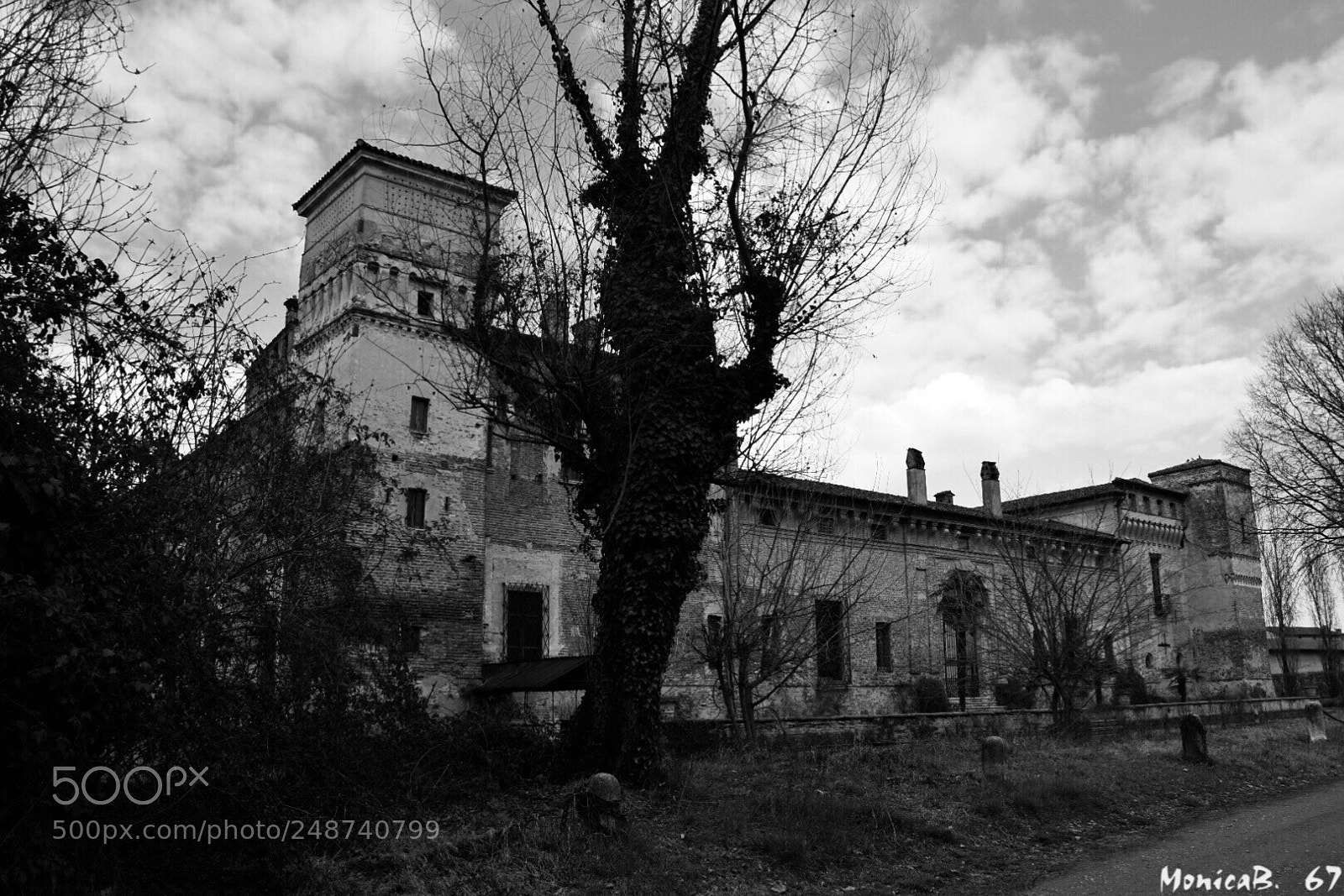 Nikon D5300 sample photo. Castello in bianco e photography