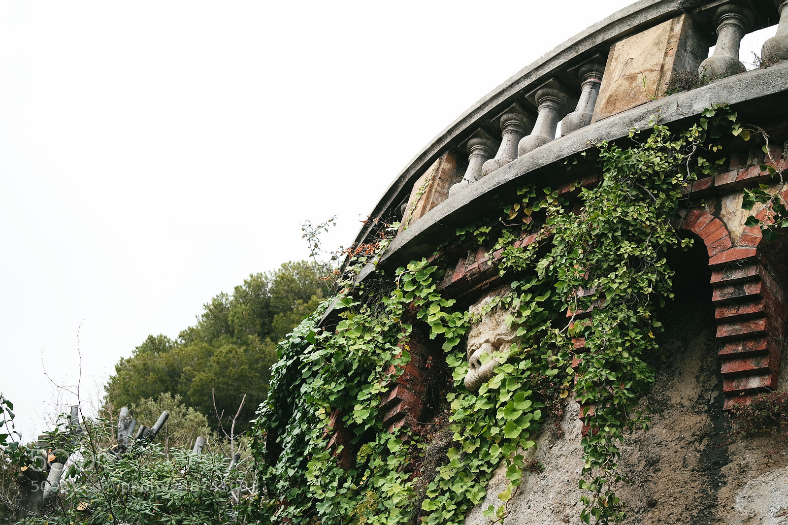 Samsung NX3000 sample photo. Lierre au balcon photography