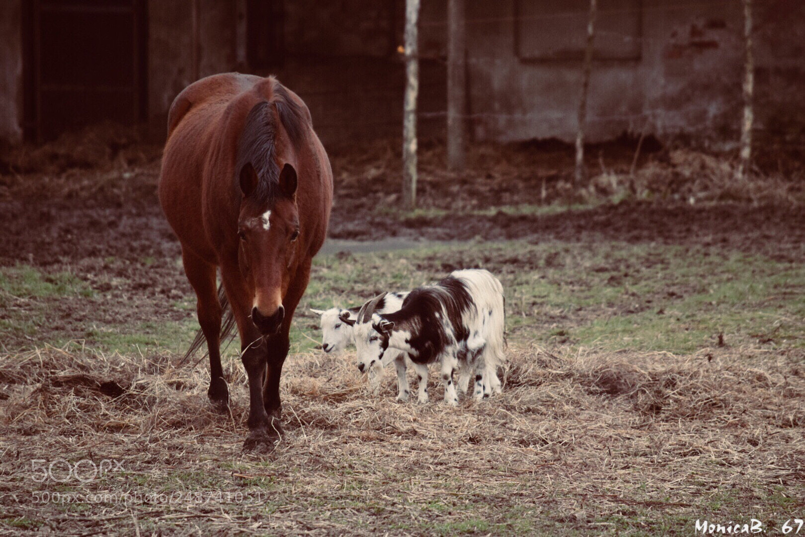 Nikon D5300 sample photo. Serena convivenza photography