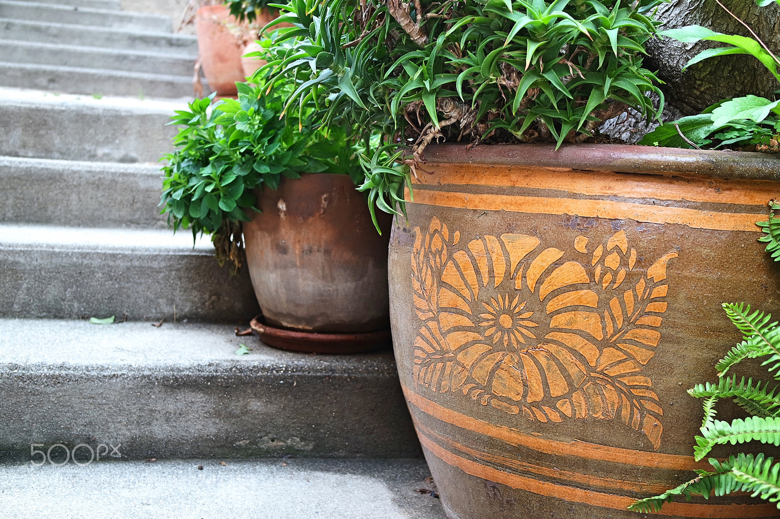 Samsung NX3000 sample photo. Pot de fleur photography