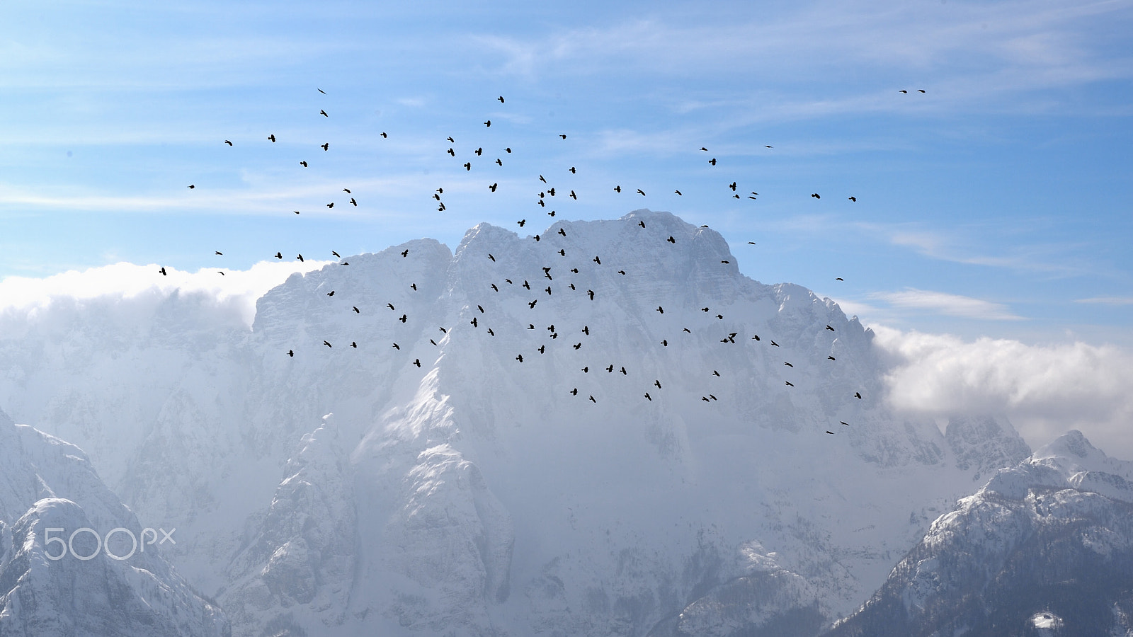 Nikon Df sample photo. Crows over the višarji mountains photography
