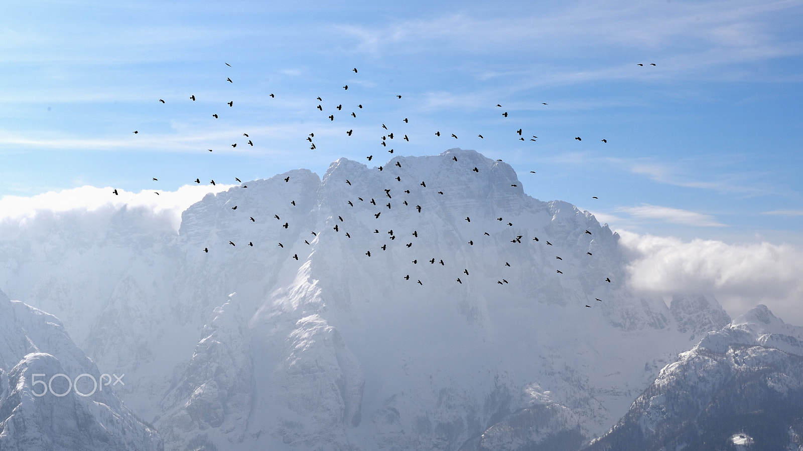 Nikon Df + Nikon AF-S Nikkor 50mm F1.8G sample photo. Crows over the višarji mountains photography