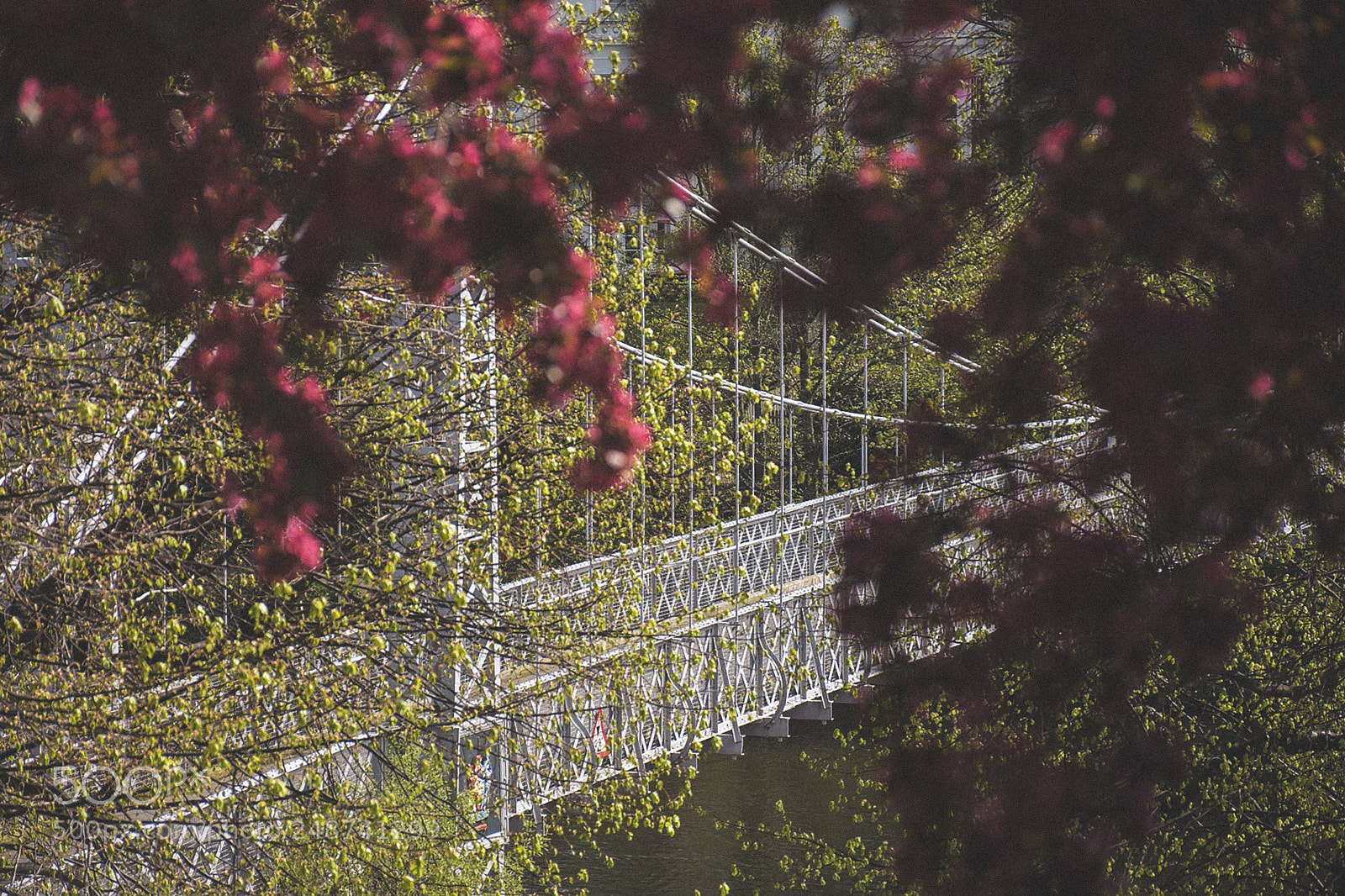 Nikon D7200 sample photo. Bridge over troubled water photography