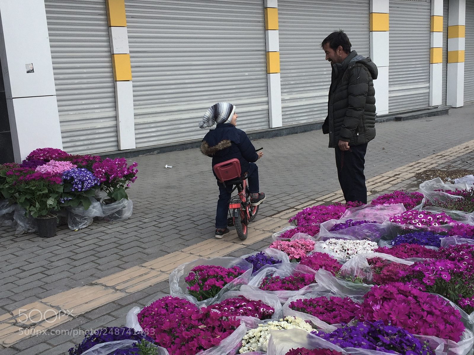 Apple iPhone 6 sample photo. Tabriz - iran photography