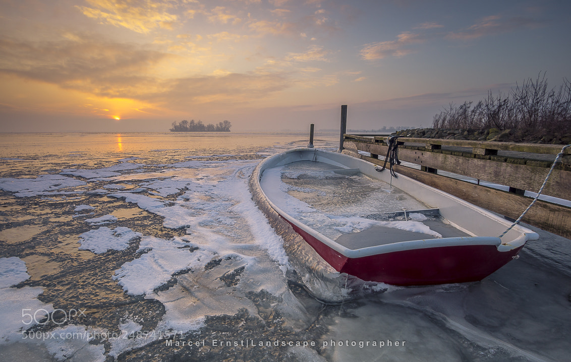 Sony ILCA-77M2 sample photo. Deeply frozen photography