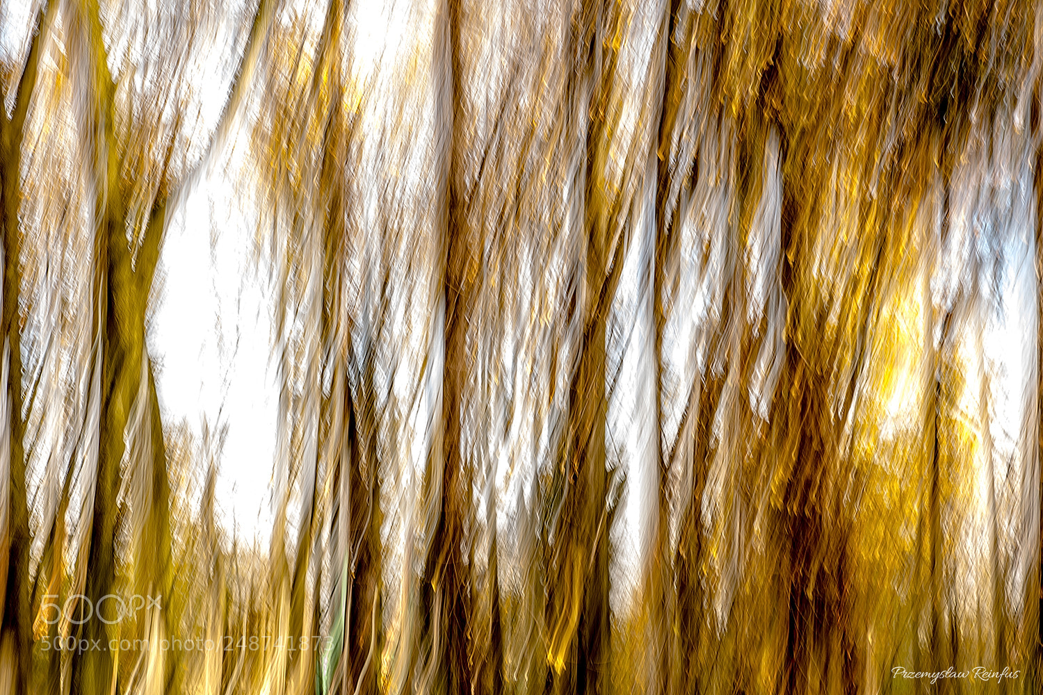 Nikon D7100 sample photo. Abstract of nature. photography