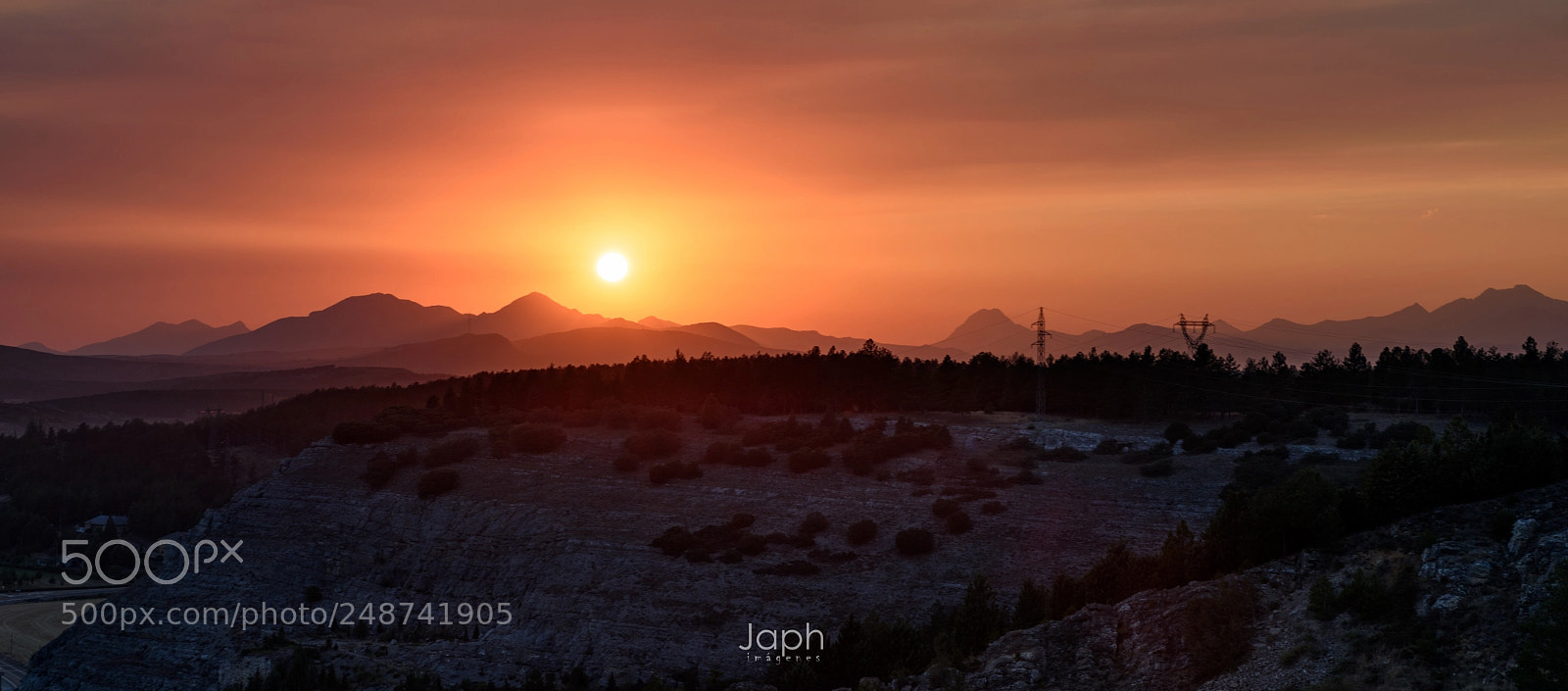 Nikon D810 sample photo. Buscando el sol photography