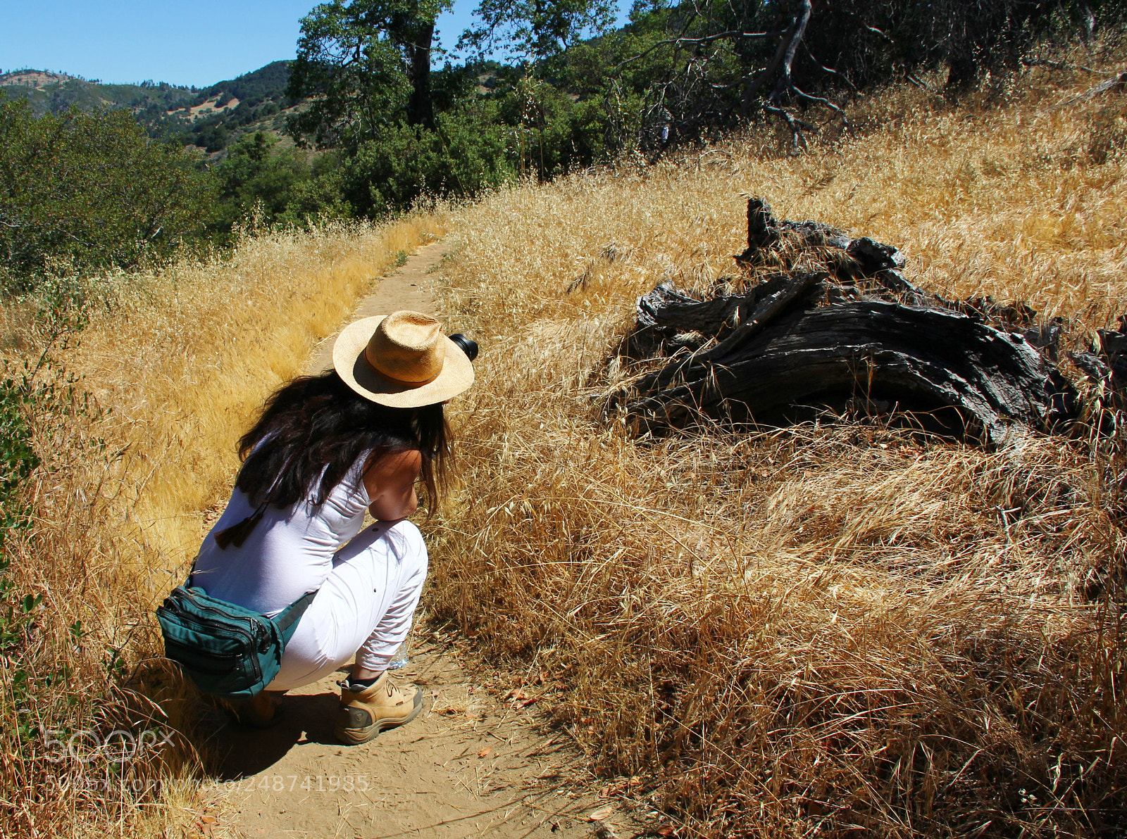 Canon EOS 60D sample photo. It's all about perspective photography