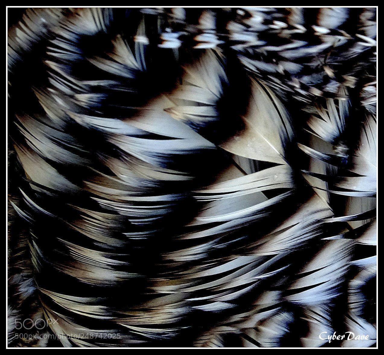 Fujifilm X-T10 sample photo. 'feathers away' photography