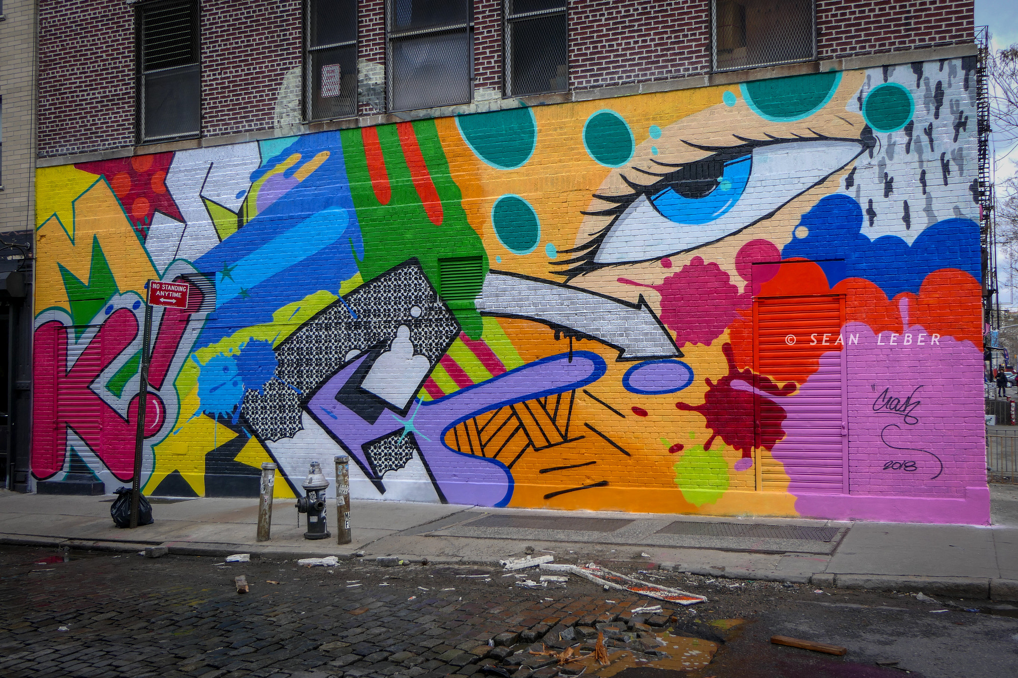 Panasonic Lumix DMC-FZ2500 (Lumix DMC-FZ2000) sample photo. Nyc, baby :) photography