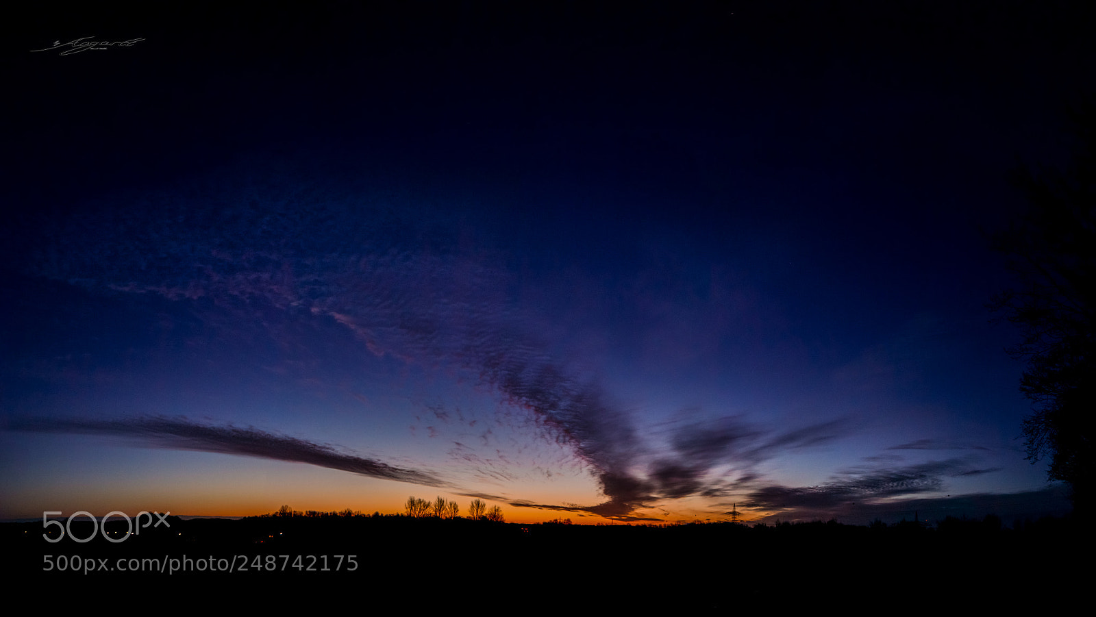 Canon EOS 6D Mark II sample photo. First light photography