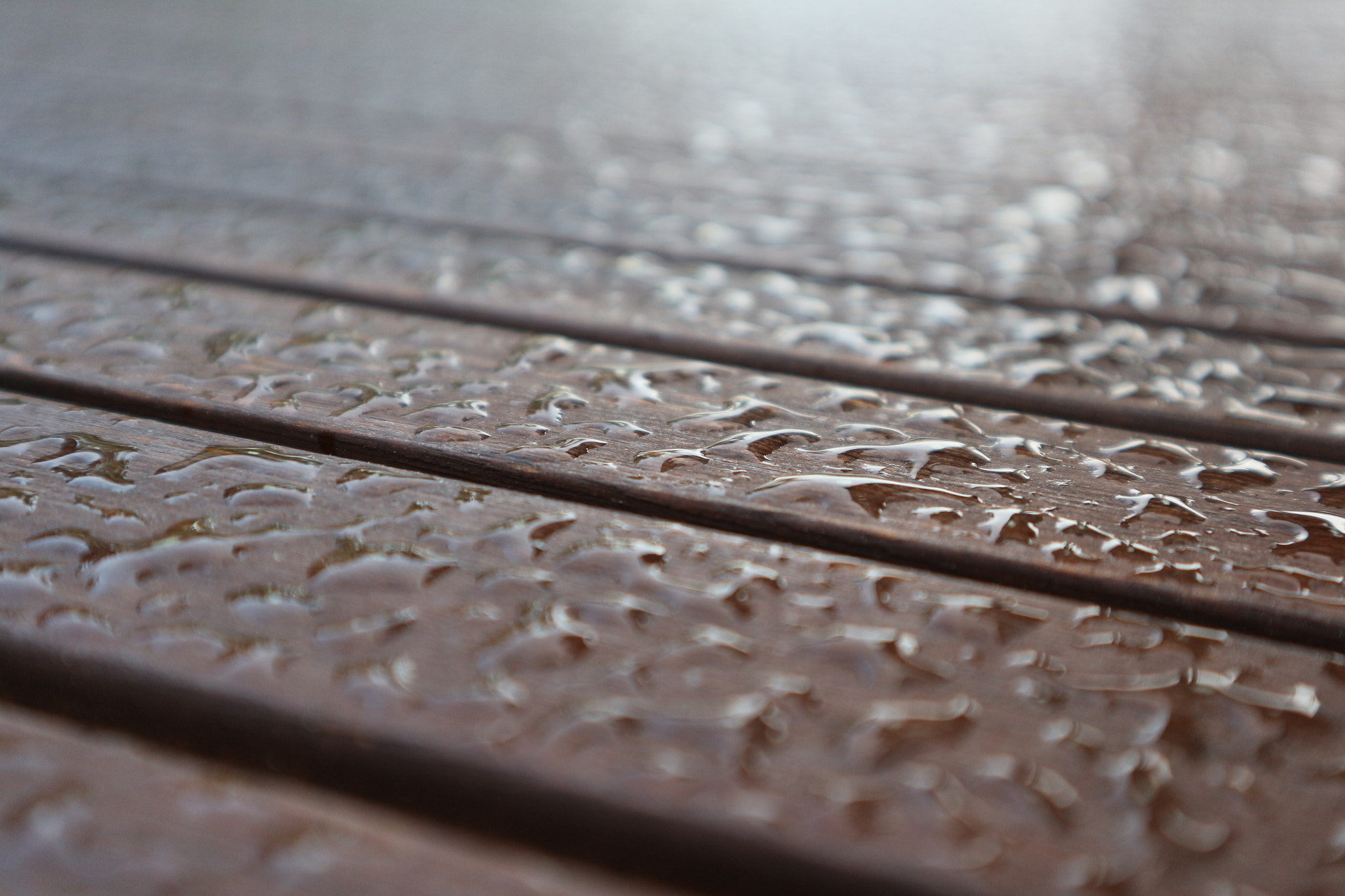 Canon EOS M10 sample photo. Raindrops photography