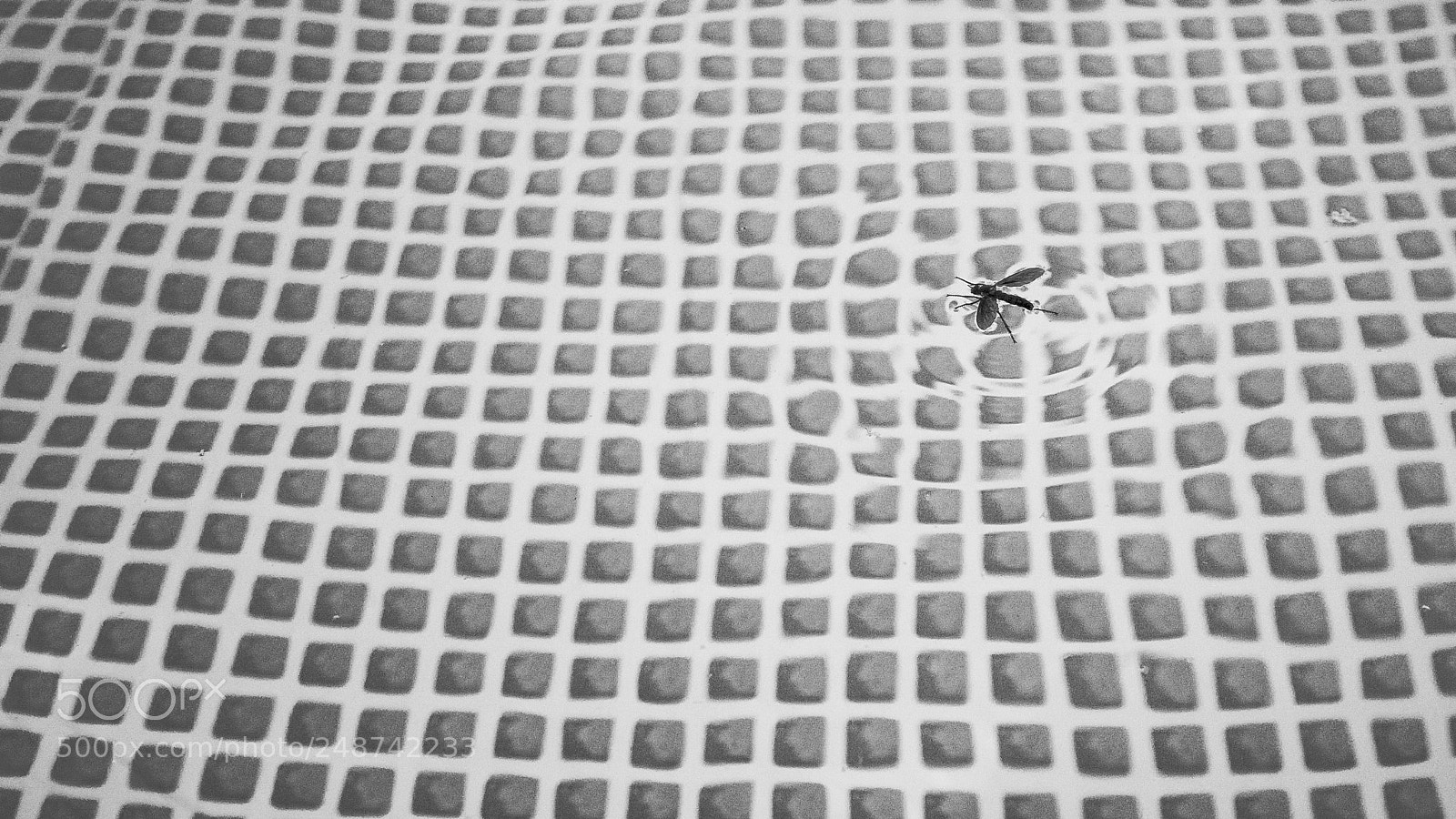 Fujifilm FinePix X100 sample photo. Untitled photography