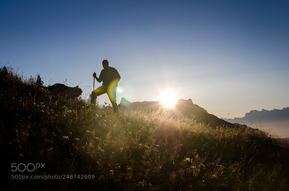 Nikon D7000 sample photo. Swiss farmer photography