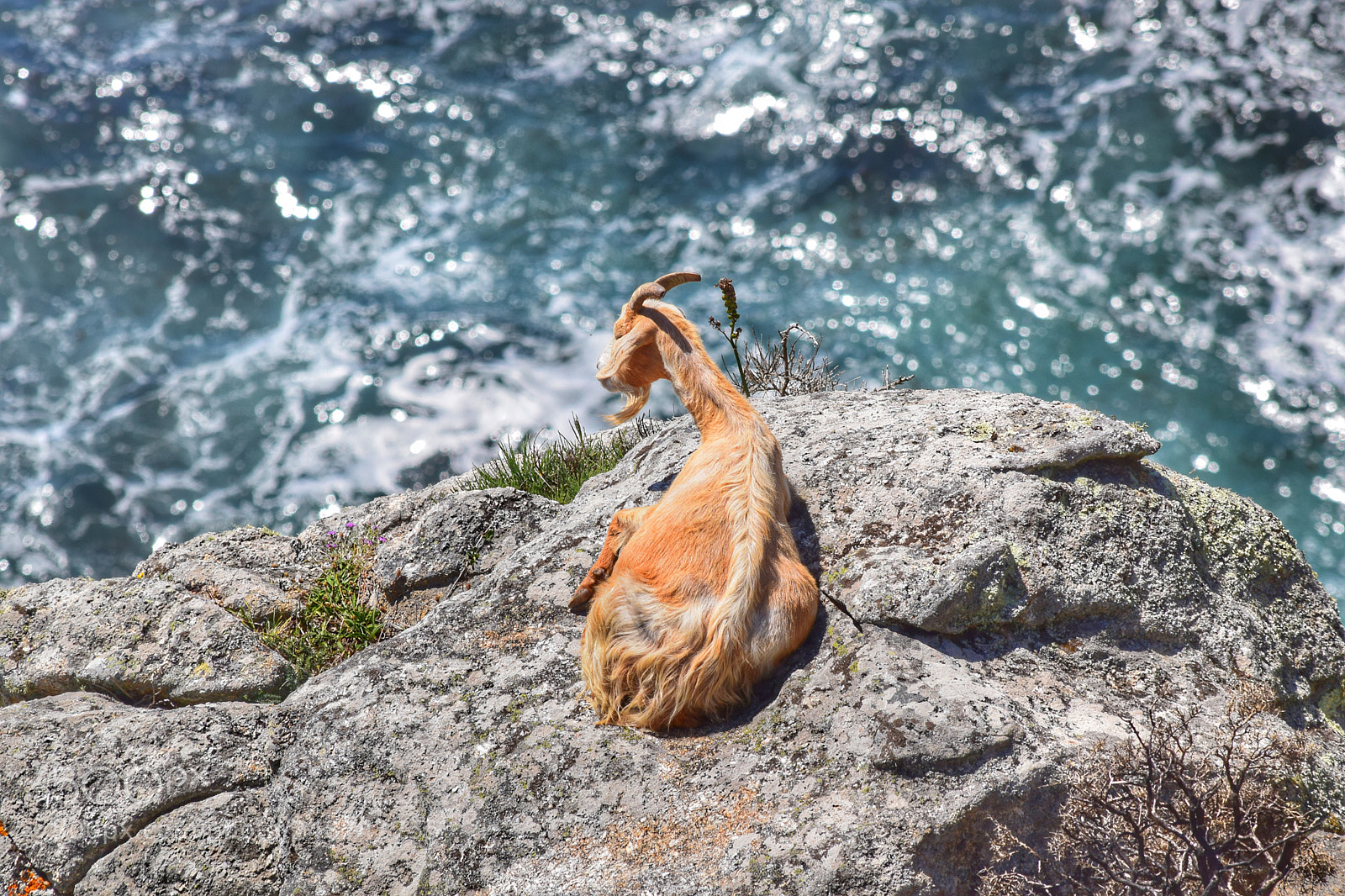 Nikon D5300 sample photo. Contemplando el mar. photography