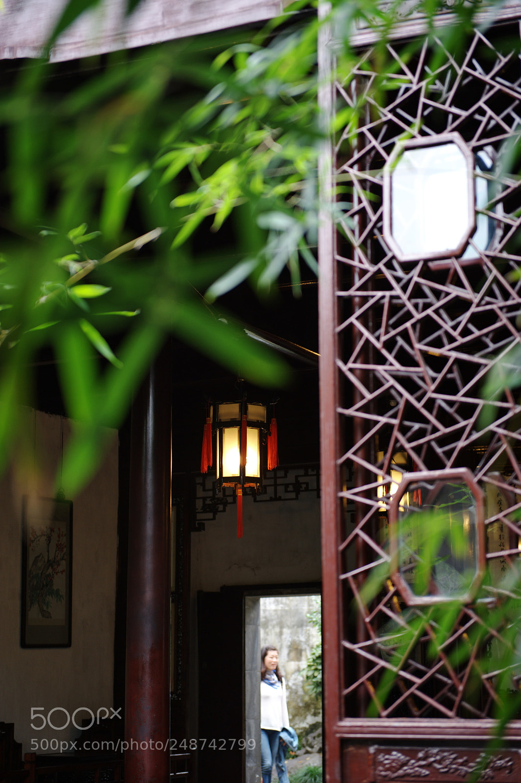 Nikon D700 sample photo. Through the classica window photography