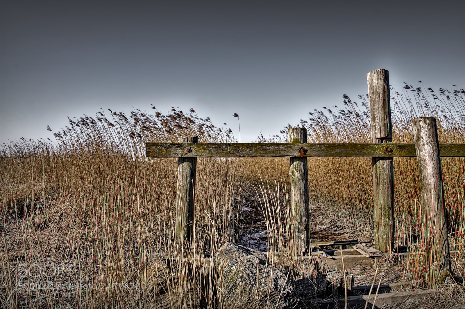Nikon D90 sample photo. Fence & weed photography