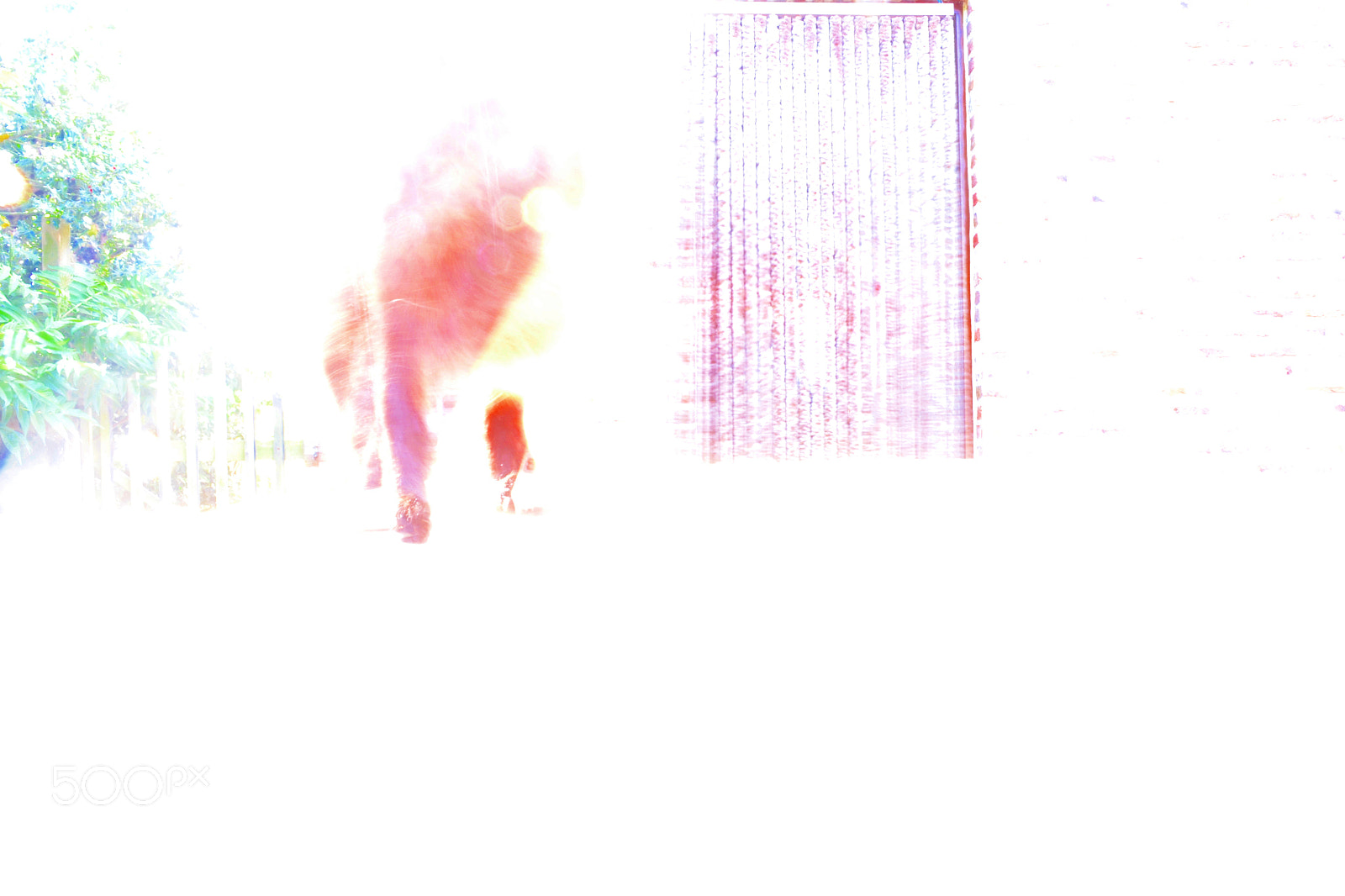 Nikon D3100 sample photo. Light phasing out live photography