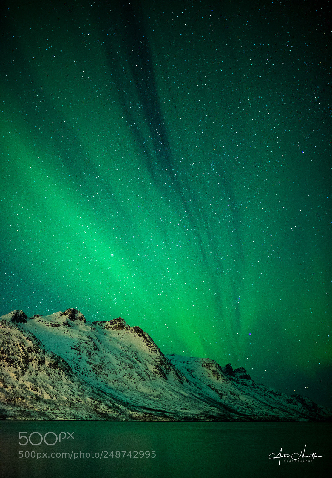 Nikon D810 sample photo. Aurora sky photography