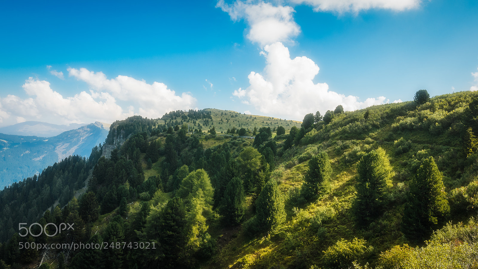 Nikon D5100 sample photo. Autumn mood photography