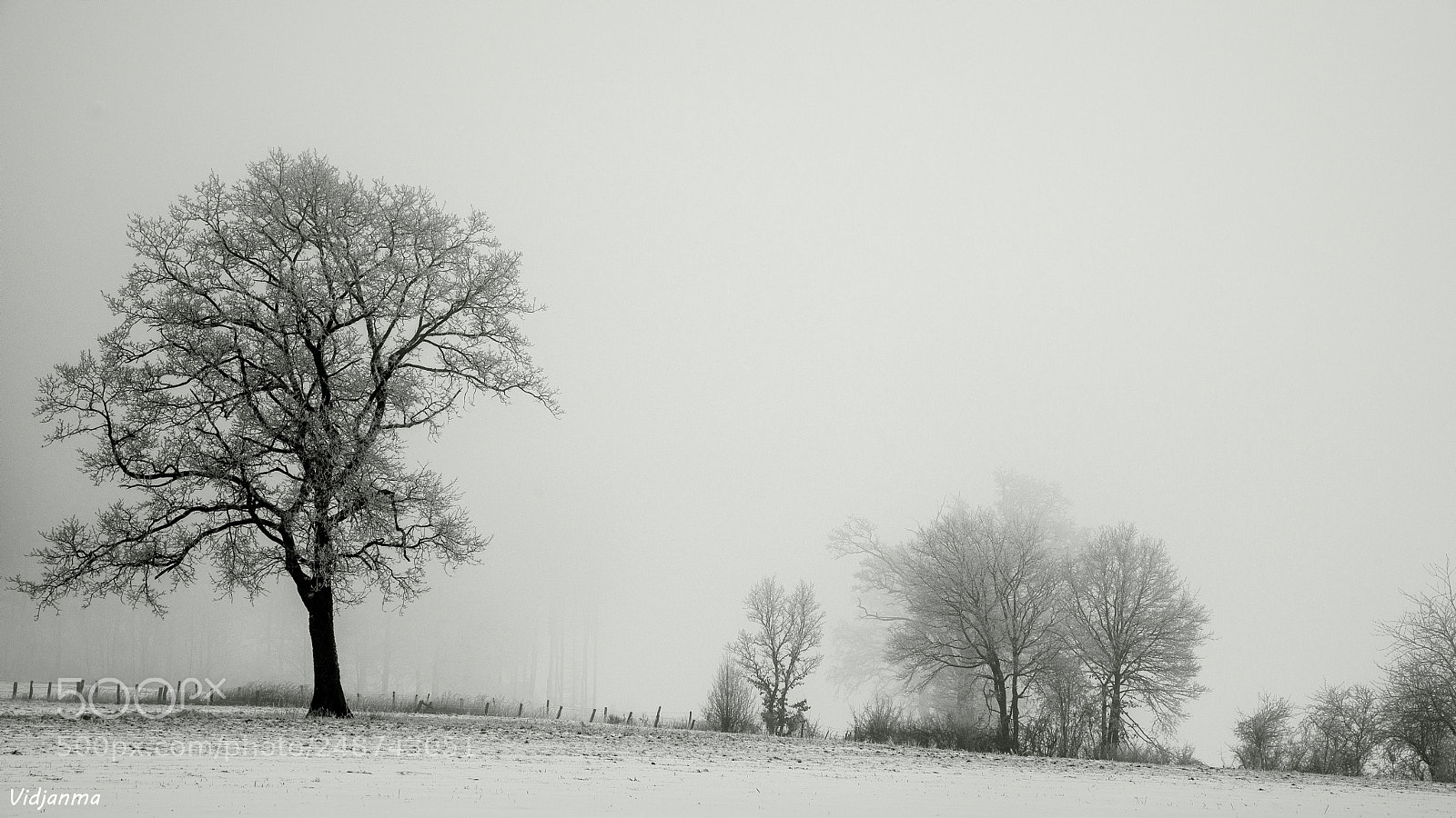 Nikon D610 sample photo. Silhouettes photography