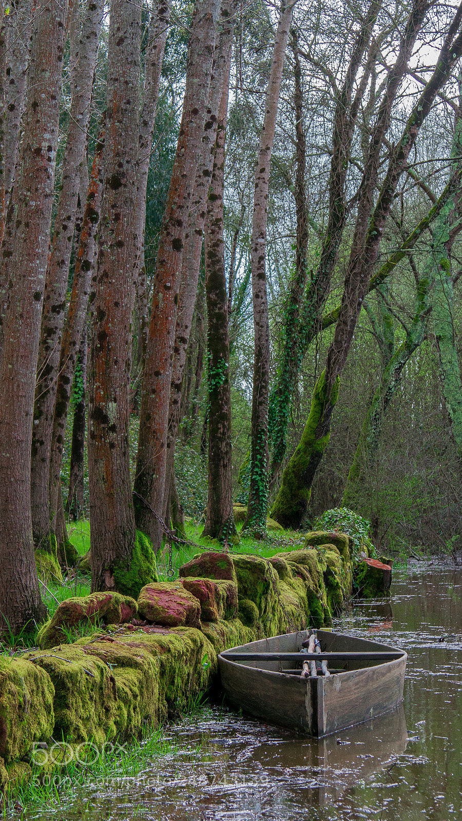 Canon EOS 7D sample photo. A certain shade of photography