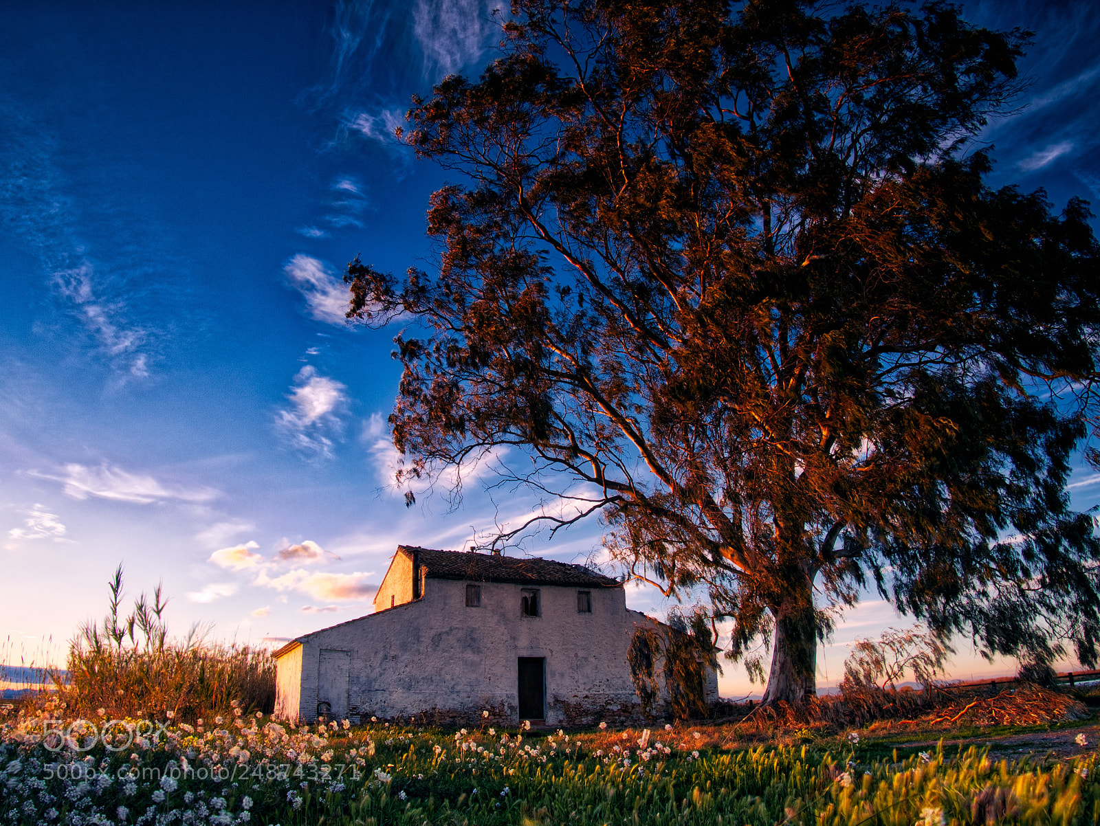Panasonic Lumix DMC-GX85 (Lumix DMC-GX80 / Lumix DMC-GX7 Mark II) sample photo. The house with no photography