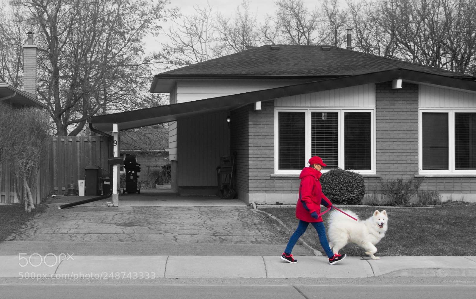 Nikon D3100 sample photo. B&w conversion photography