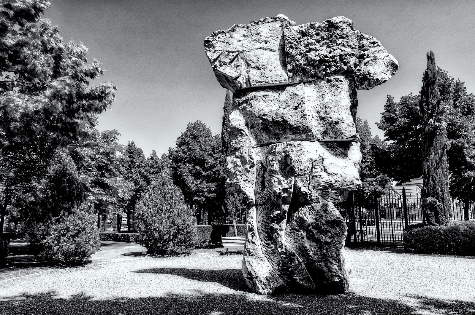 Nikon D800 sample photo. El gigante del bosque photography