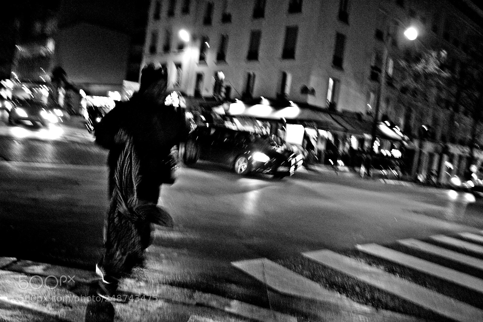 Nikon D3100 sample photo. Parisnightfuzz photography