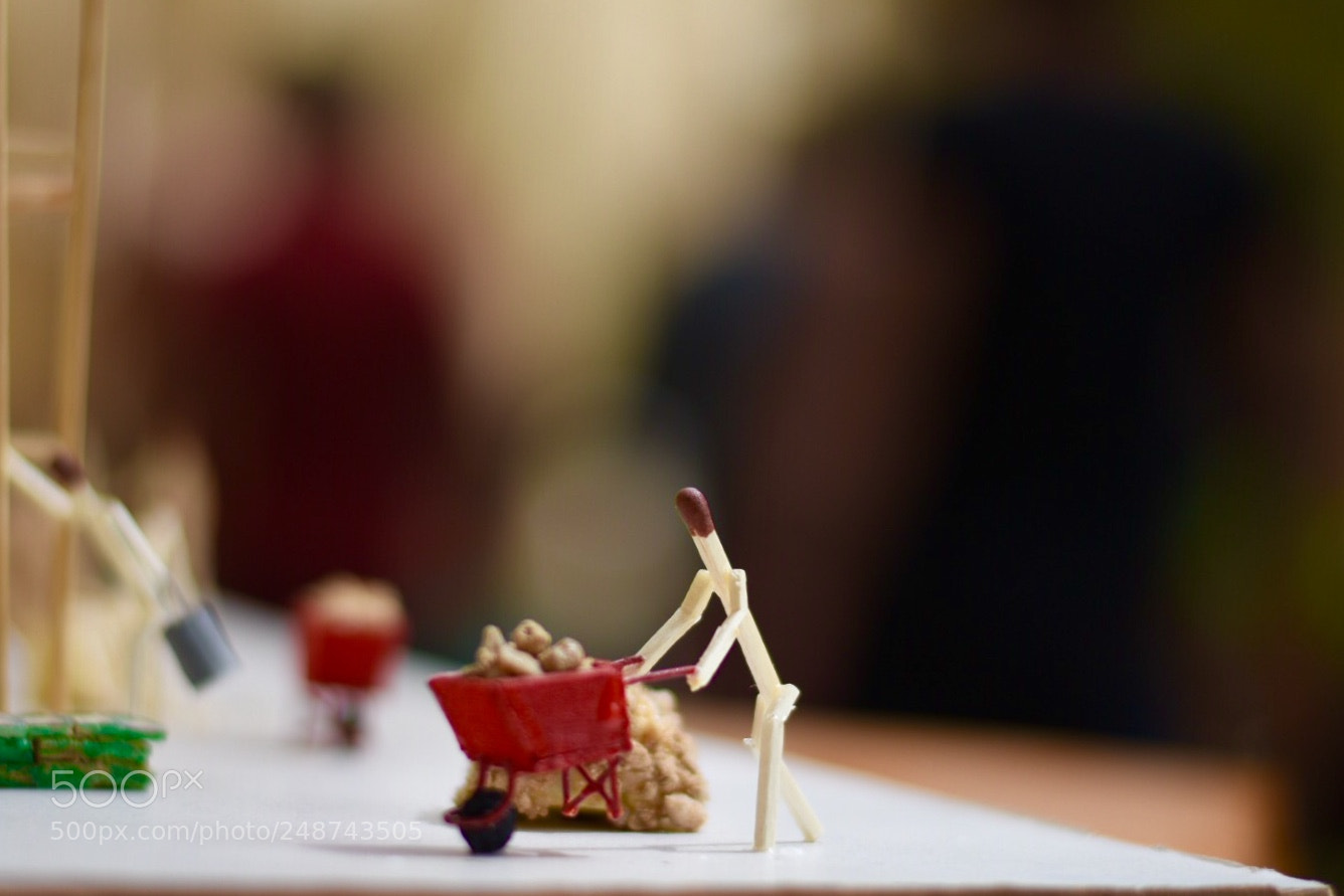Nikon D7200 sample photo. Untitled photography