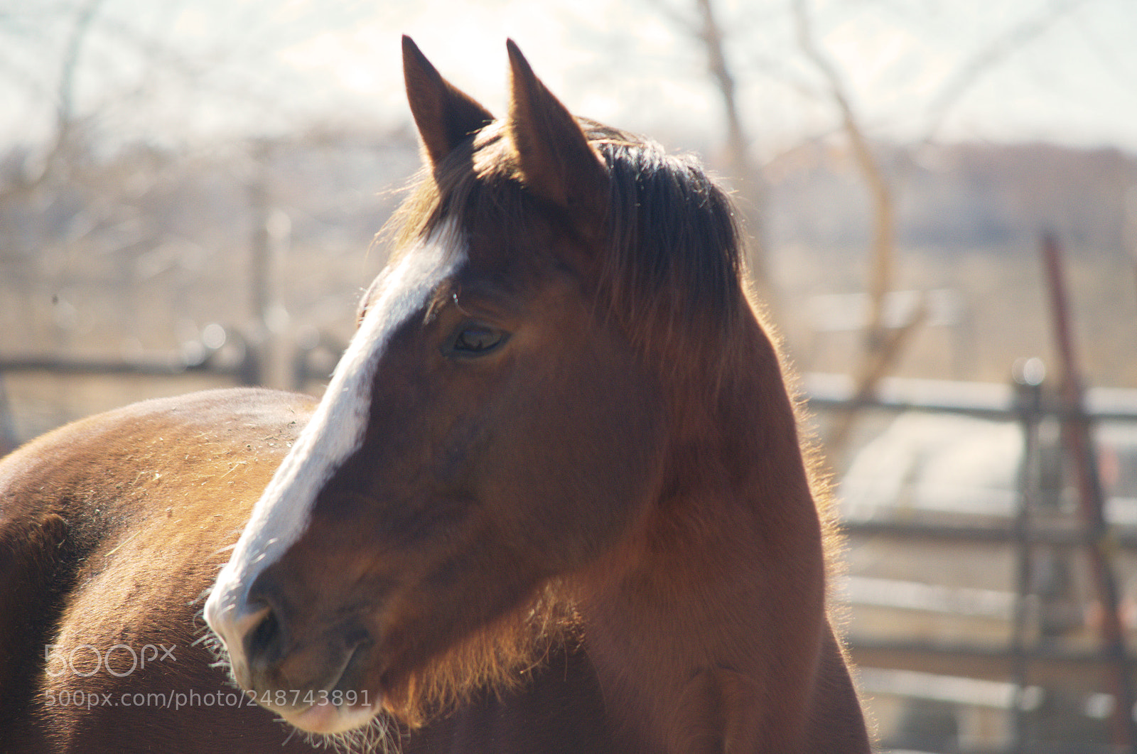 Nikon D5100 sample photo. Gentle photography