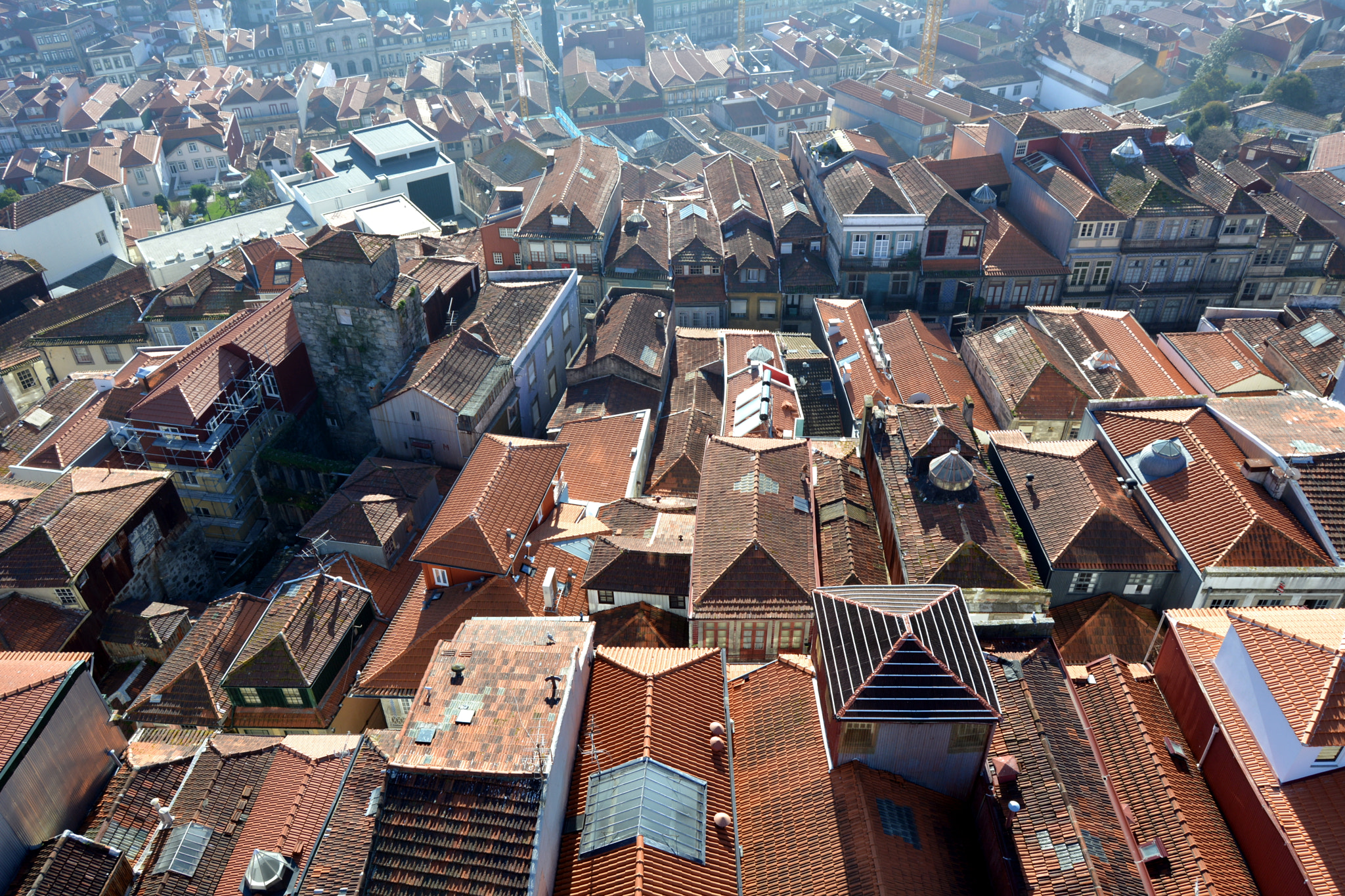 Nikon D5200 sample photo. Roof of porto photography
