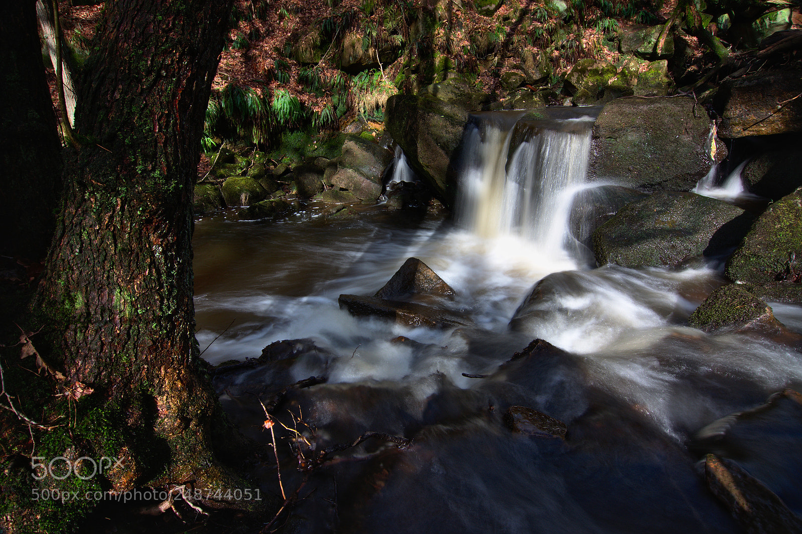 Nikon D5100 sample photo. Padley gorge 1 photography