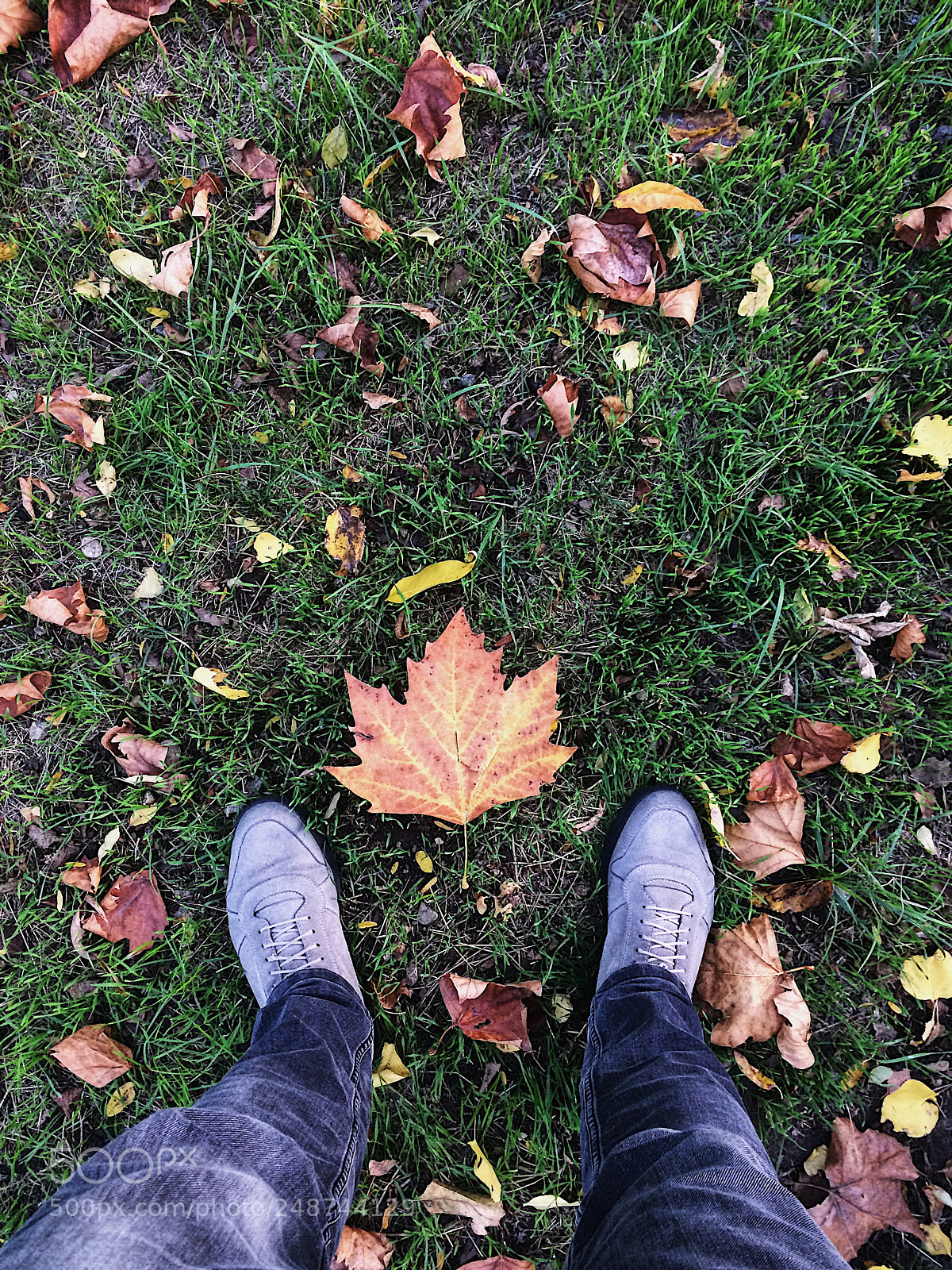 Apple iPhone 5s sample photo. Осень photography