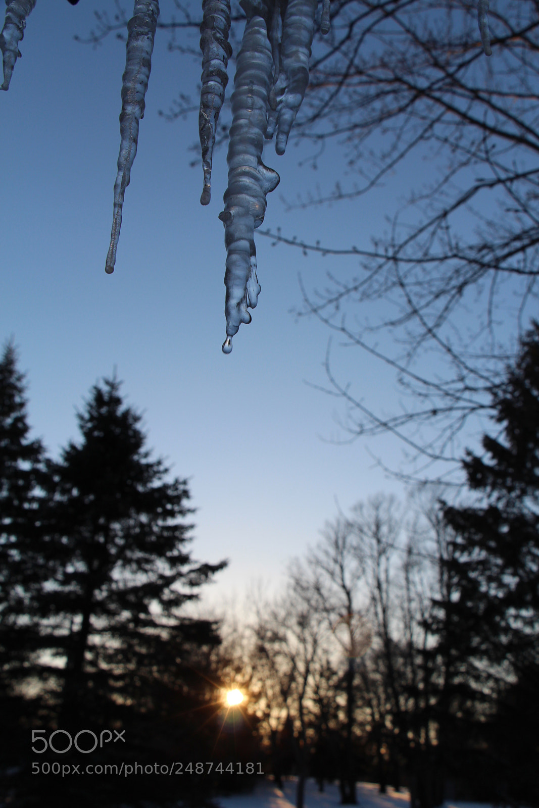 Canon EOS 700D (EOS Rebel T5i / EOS Kiss X7i) sample photo. () photography