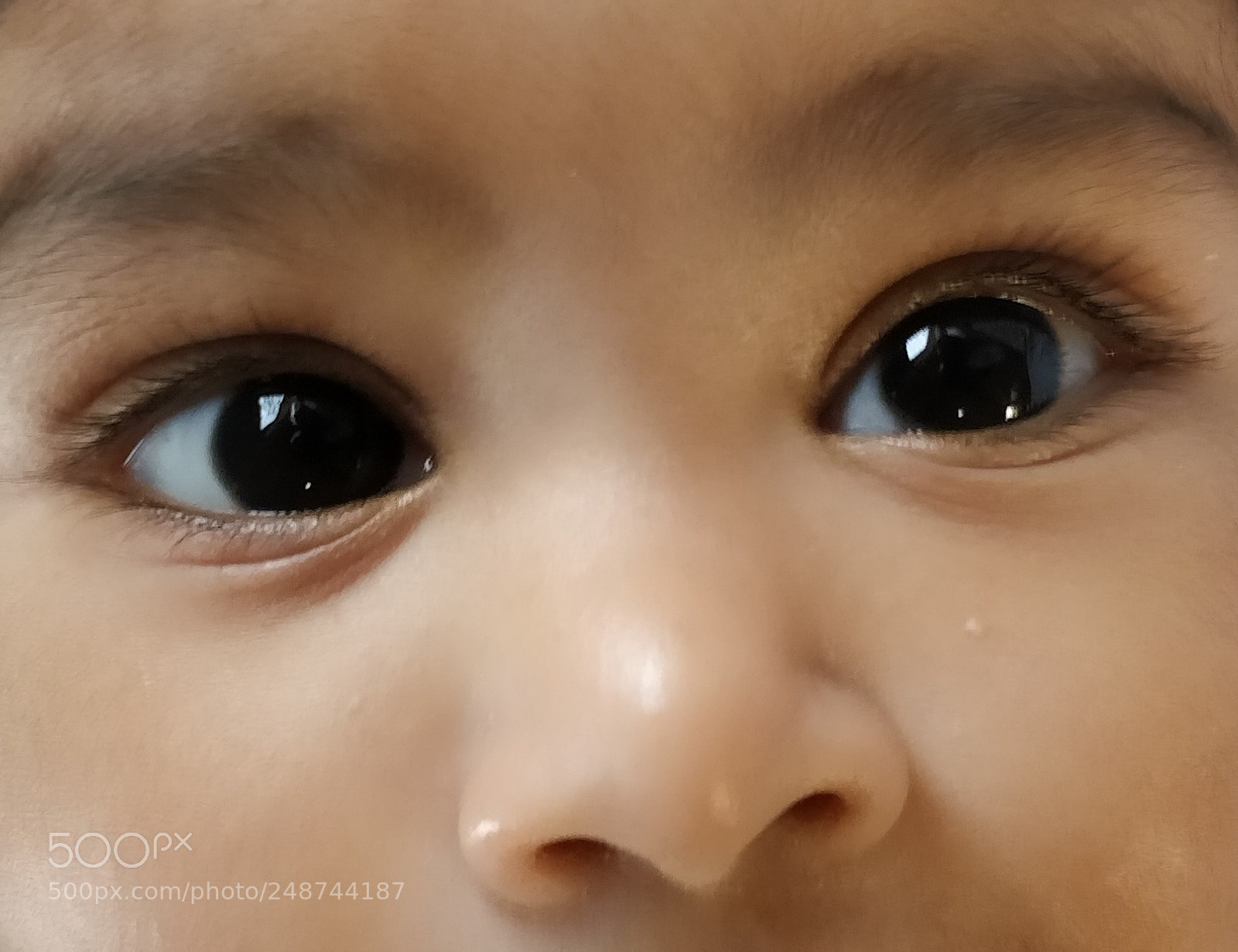 OnePlus 5 sample photo. Sparkling eye!! photography