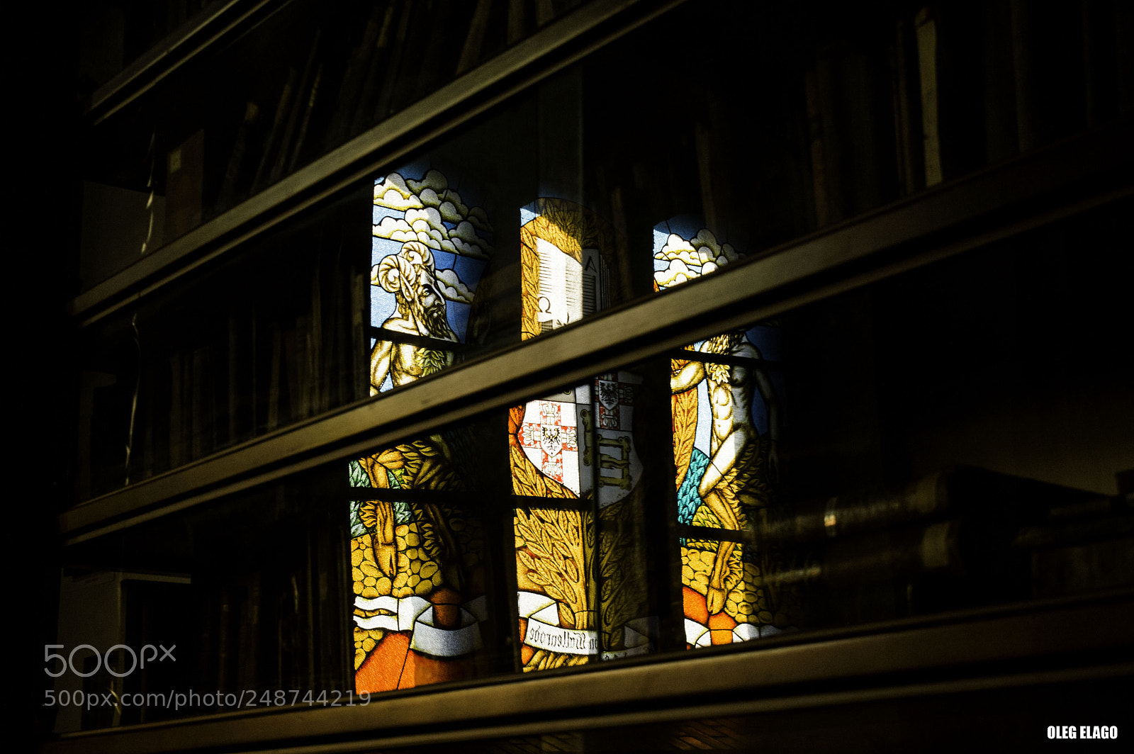 Nikon D3200 sample photo. Colors 5 photography