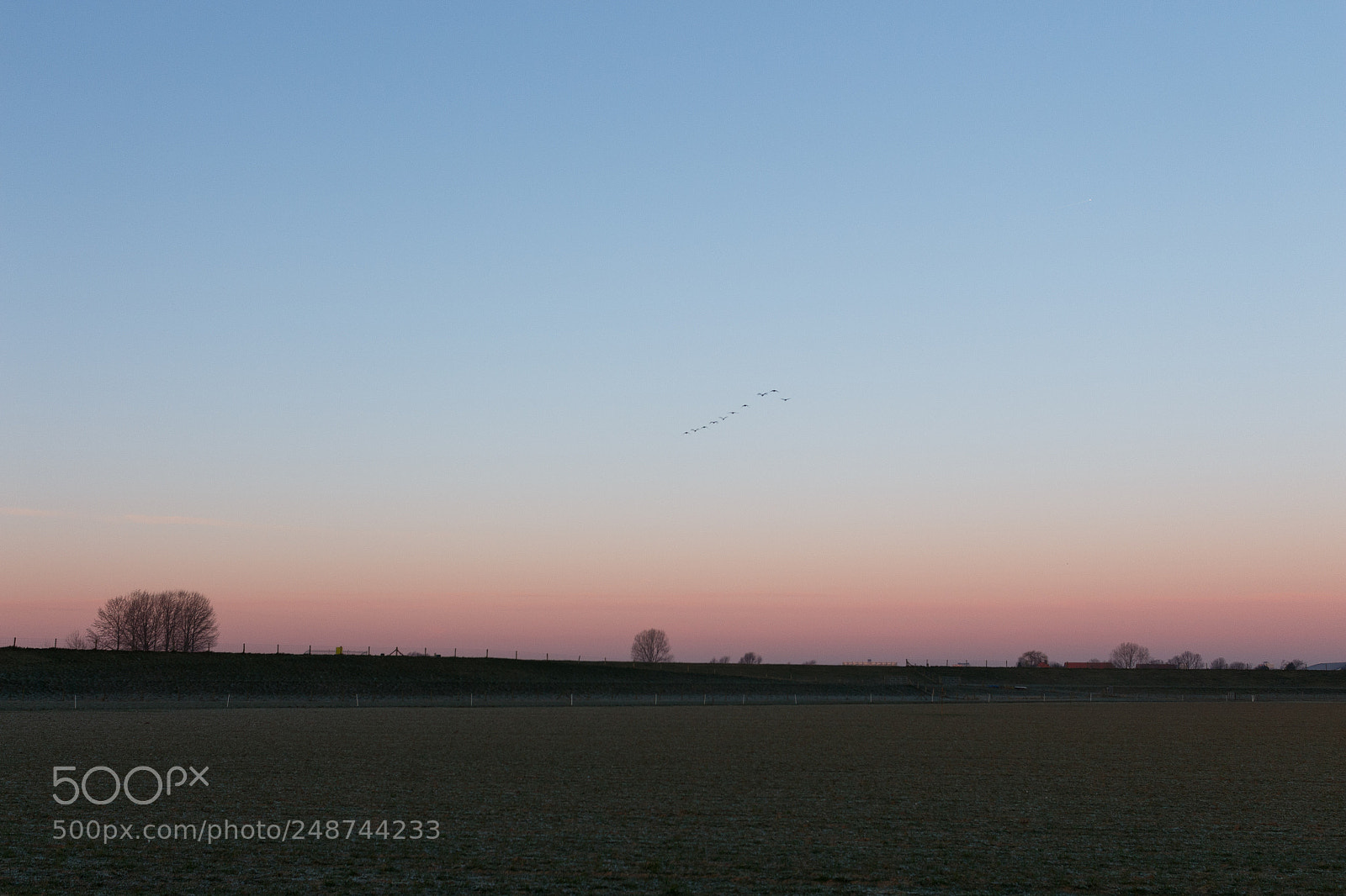 Canon EOS 700D (EOS Rebel T5i / EOS Kiss X7i) sample photo. Pastel morning colors photography