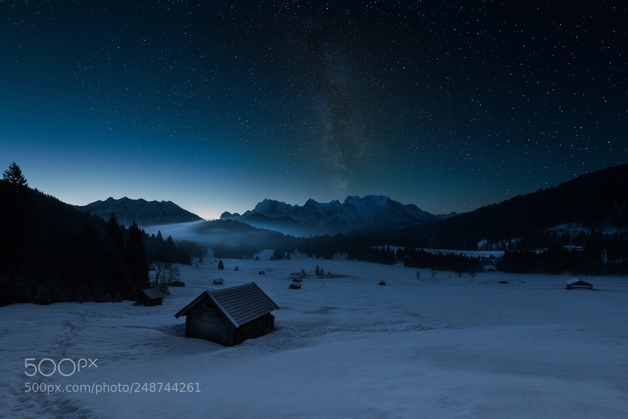Nikon D800 sample photo. [ geroldsee ] photography