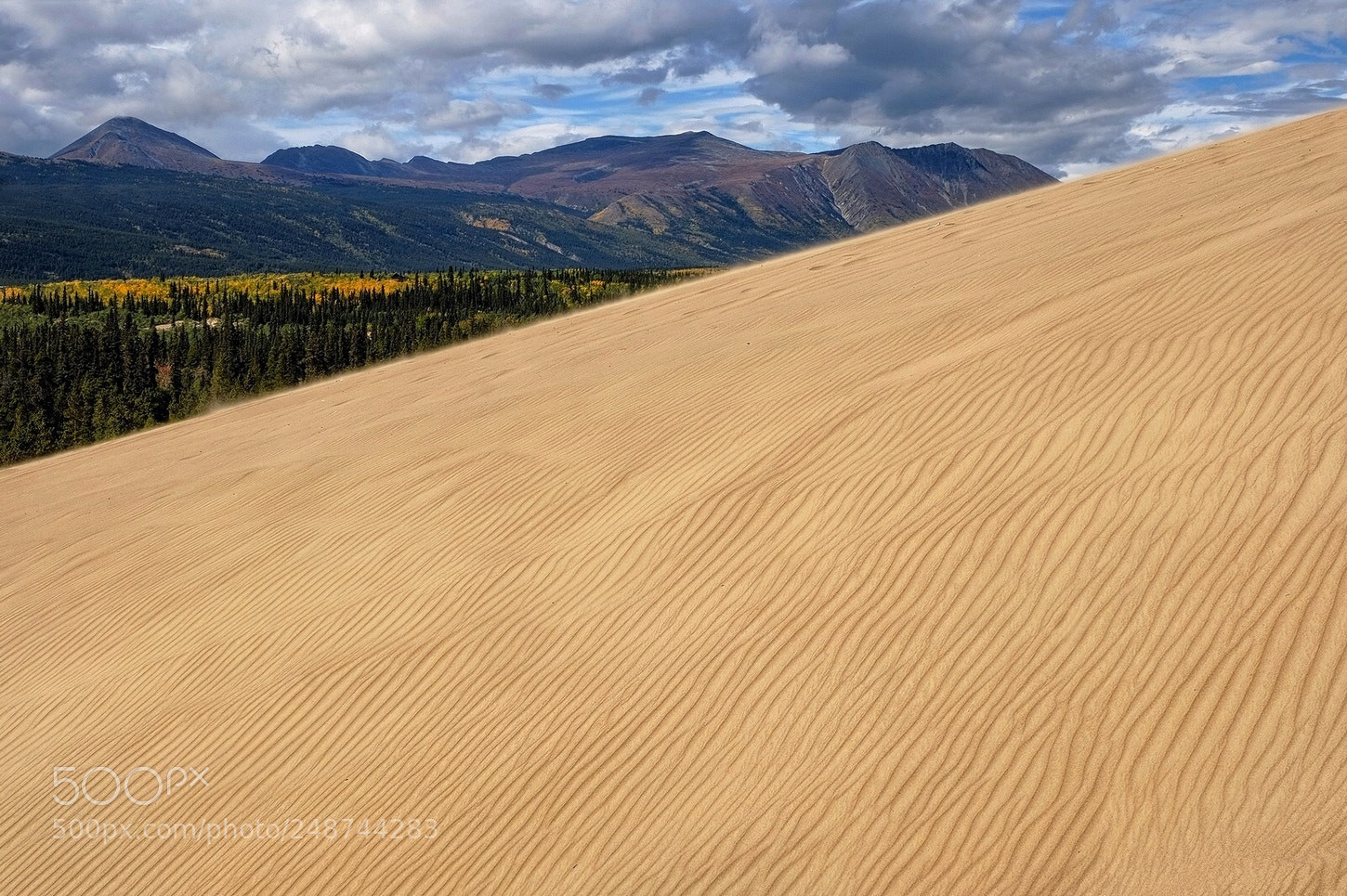 Fujifilm X-T10 sample photo. Sloping sands photography