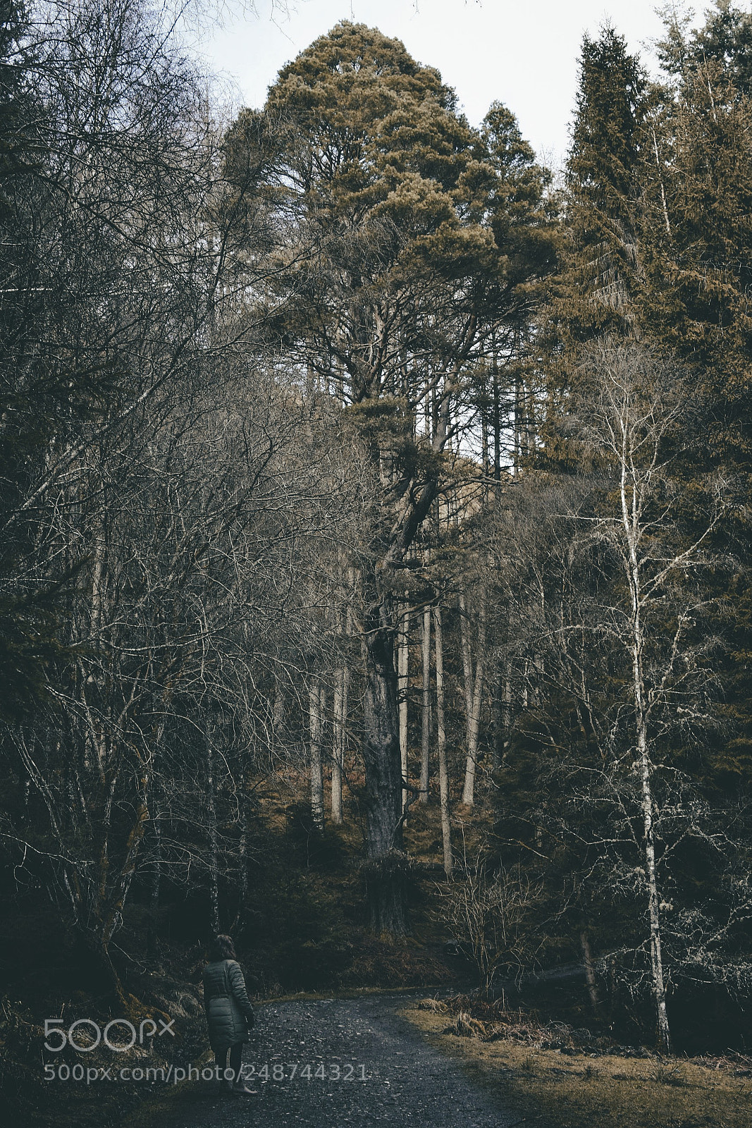 Nikon D3400 sample photo. I m a lover photography