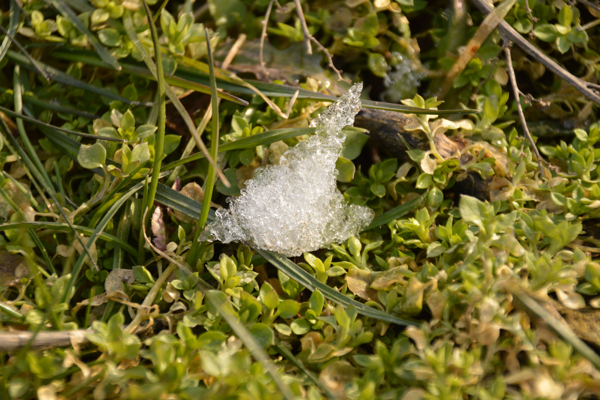 Nikon D3200 + Sigma 18-250mm F3.5-6.3 DC Macro OS HSM sample photo. A scrap of ice photography