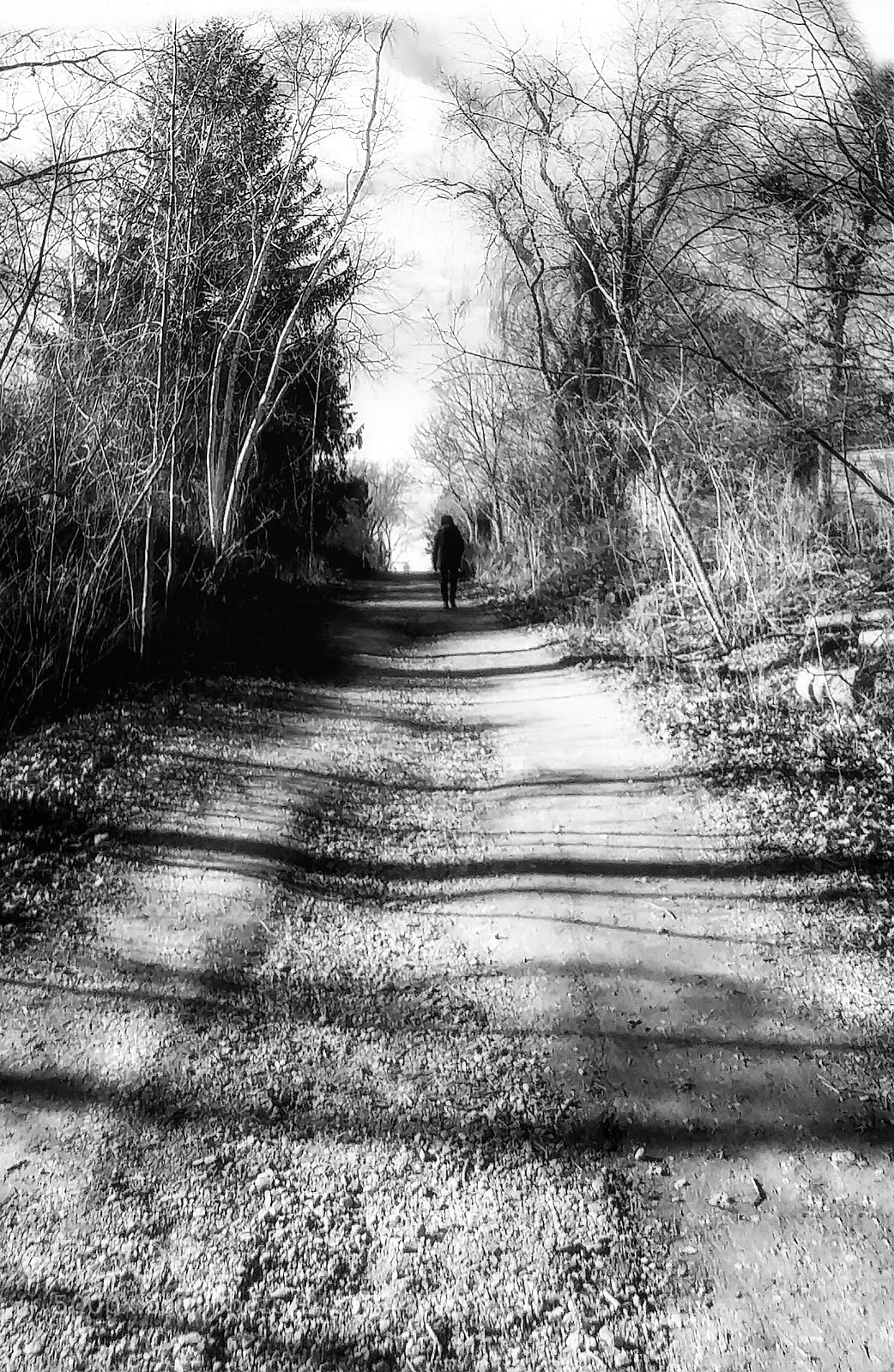 LG G5 sample photo. Rattray marsh photography